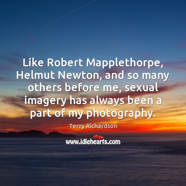 Like Robert Mapplethorpe, Helmut Newton, and so many others before me, sexual Terry Richardson Picture Quote