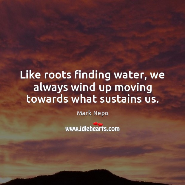 Like roots finding water, we always wind up moving towards what sustains us. Image