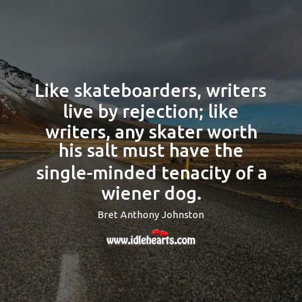 Like skateboarders, writers live by rejection; like writers, any skater worth his Image