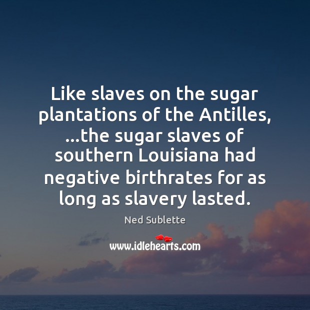 Like slaves on the sugar plantations of the Antilles, …the sugar slaves Ned Sublette Picture Quote