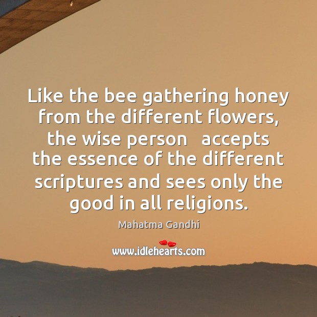 Like the bee gathering honey from the different flowers, the wise person Wise Quotes Image