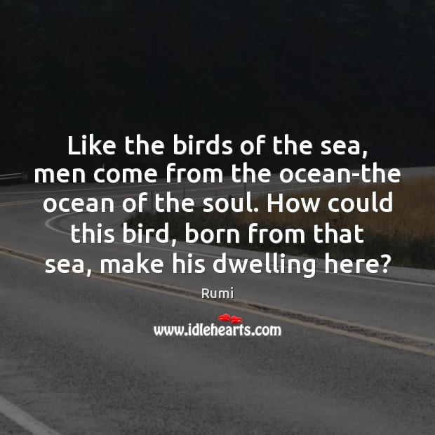 Like the birds of the sea, men come from the ocean-the ocean Rumi Picture Quote