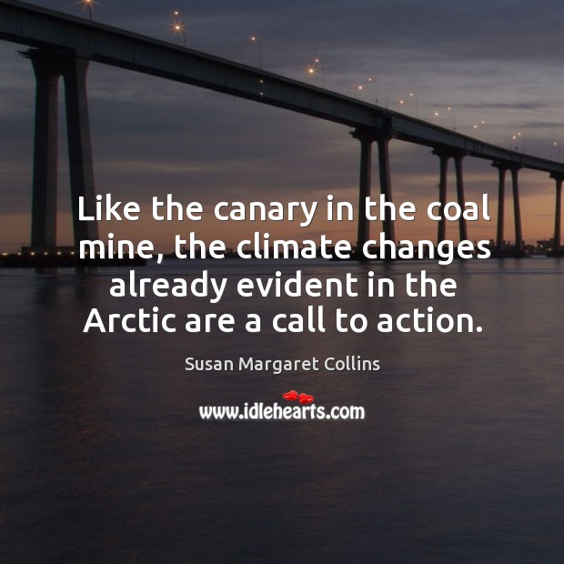 Like the canary in the coal mine, the climate changes already evident in the arctic are a call to action. Susan Margaret Collins Picture Quote