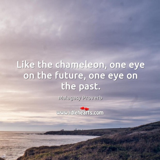 Like the chameleon, one eye on the future, one eye on the past. Malagasy Proverbs Image