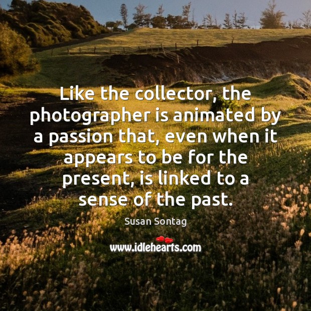 Like the collector, the photographer is animated by a passion that, even Susan Sontag Picture Quote