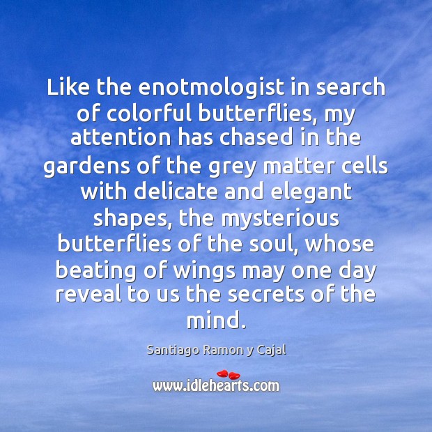 Like the enotmologist in search of colorful butterflies, my attention has chased Santiago Ramon y Cajal Picture Quote