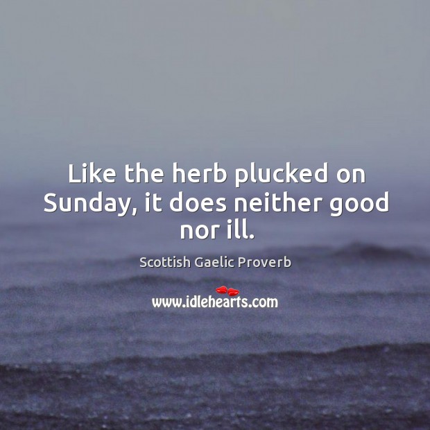 Like the herb plucked on sunday, it does neither good nor ill. Scottish Gaelic Proverbs Image