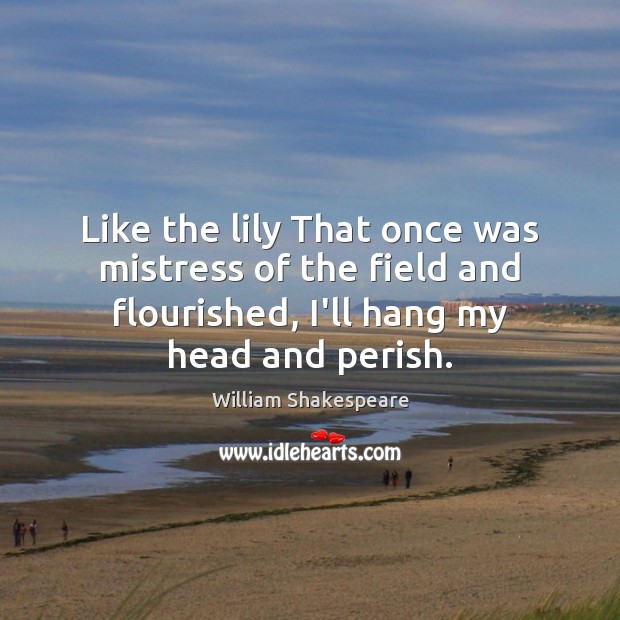 Like the lily That once was mistress of the field and flourished, Image