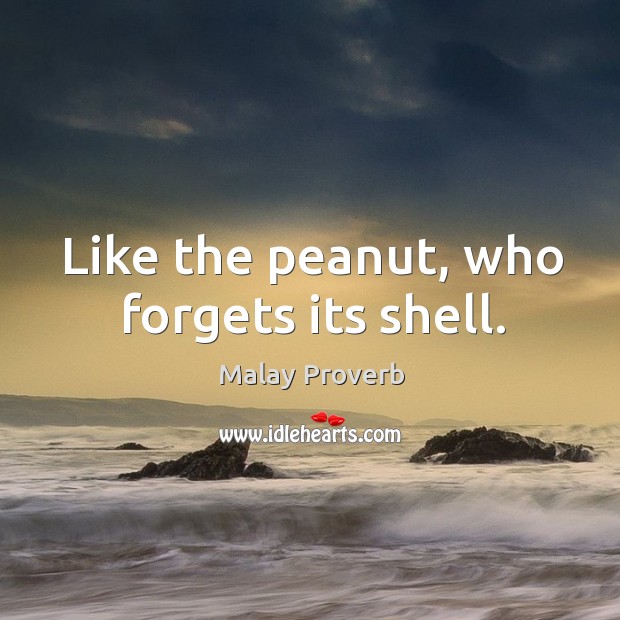 Like the peanut, who forgets its shell. Malay Proverbs Image
