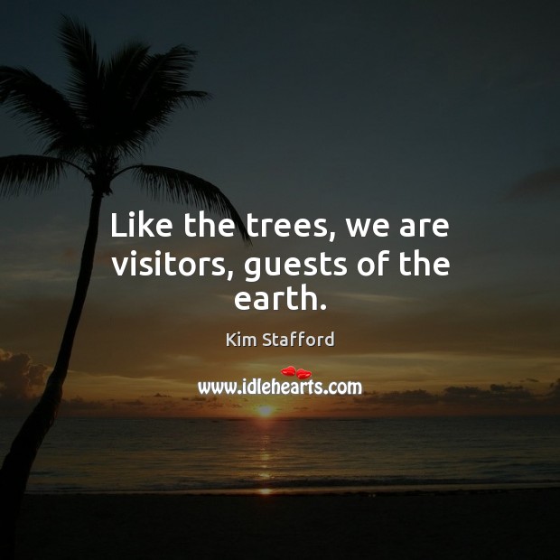 Like the trees, we are visitors, guests of the earth. Image