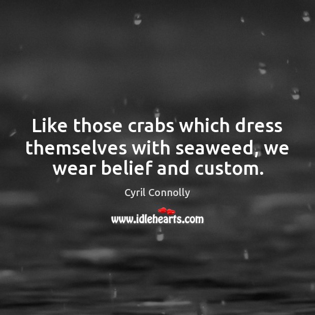 Like those crabs which dress themselves with seaweed, we wear belief and custom. Cyril Connolly Picture Quote