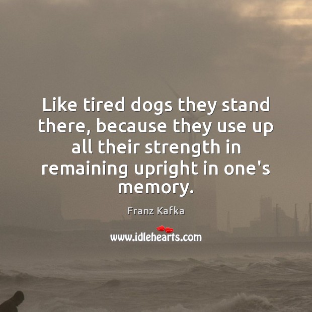 Like tired dogs they stand there, because they use up all their Franz Kafka Picture Quote