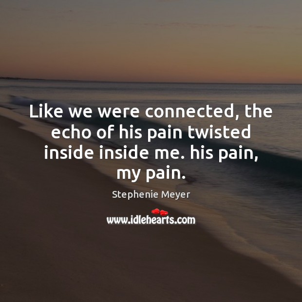 Like we were connected, the echo of his pain twisted inside inside me. his pain, my pain. Stephenie Meyer Picture Quote