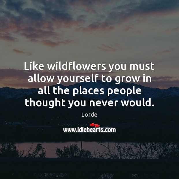 Like wildflowers you must allow yourself to grow in all the places Image