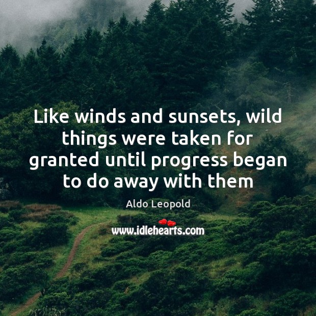 Like winds and sunsets, wild things were taken for granted until progress Progress Quotes Image