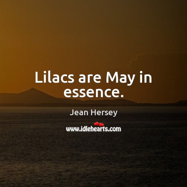 Lilacs are May in essence. Jean Hersey Picture Quote