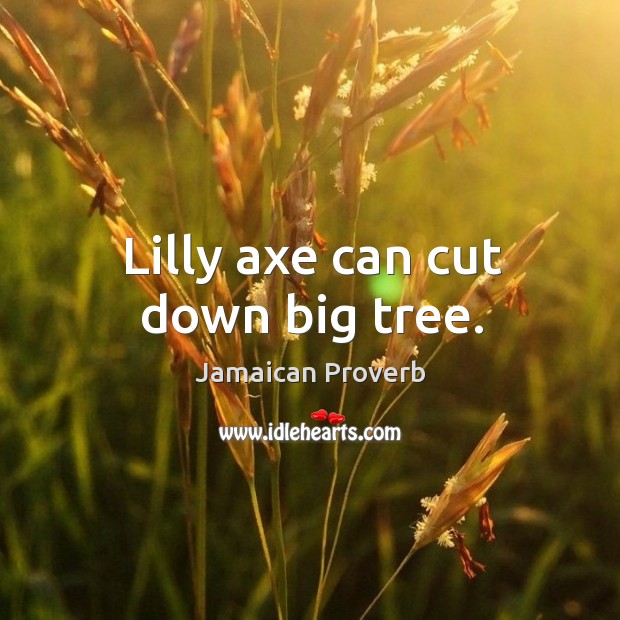 Lilly axe can cut down big tree. Jamaican Proverbs Image