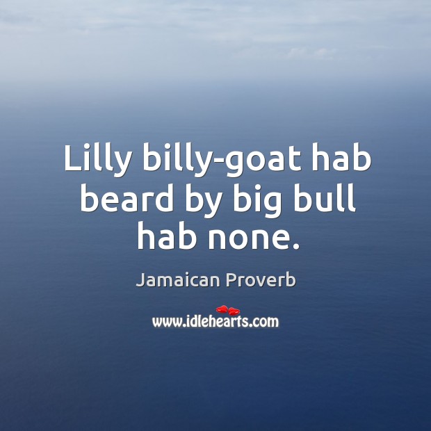 Lilly billy-goat hab beard by big bull hab none. Jamaican Proverbs Image