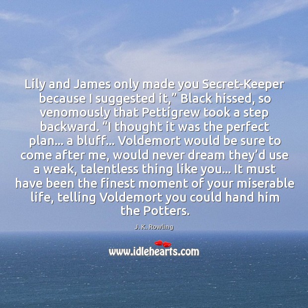 Lily and James only made you Secret-Keeper because I suggested it,” Black Image