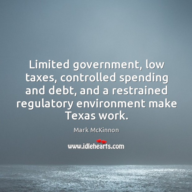 Limited government, low taxes, controlled spending and debt, and a restrained regulatory Mark McKinnon Picture Quote
