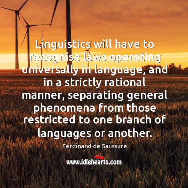 Linguistics will have to recognise laws operating universally in language Ferdinand de Saussure Picture Quote