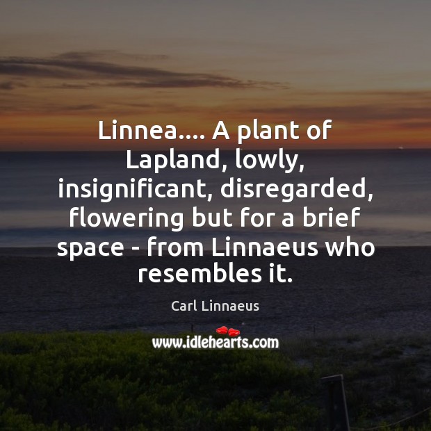 Linnea…. A plant of Lapland, lowly, insignificant, disregarded, flowering but for a Carl Linnaeus Picture Quote