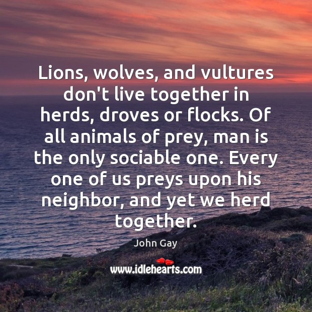 Lions, wolves, and vultures don’t live together in herds, droves or flocks. John Gay Picture Quote