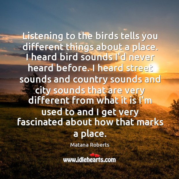 Listening to the birds tells you different things about a place. I Matana Roberts Picture Quote