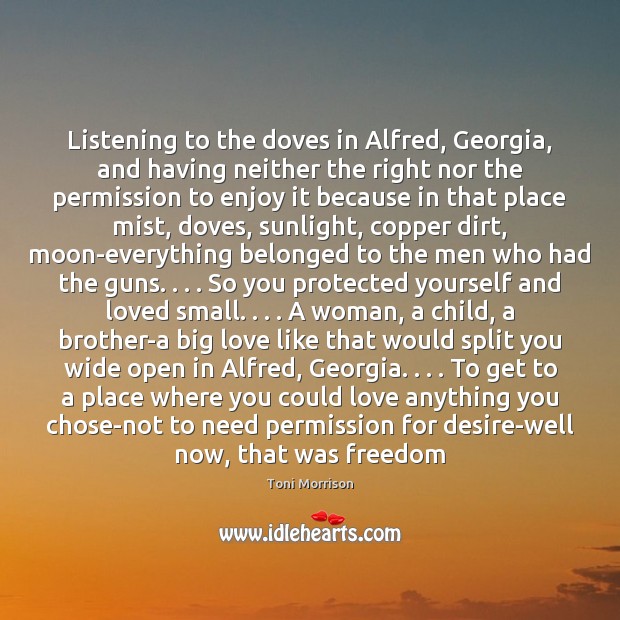 Listening to the doves in Alfred, Georgia, and having neither the right 