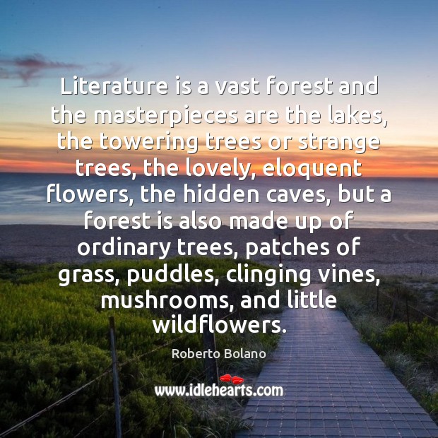 Literature is a vast forest and the masterpieces are the lakes, the Roberto Bolano Picture Quote