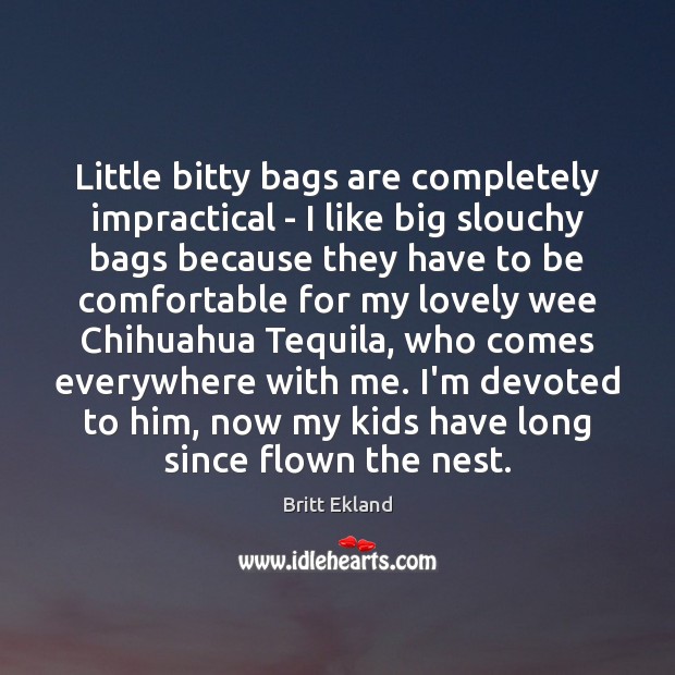 Little bitty bags are completely impractical – I like big slouchy bags Britt Ekland Picture Quote