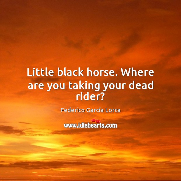 Little black horse. Where are you taking your dead rider? Image