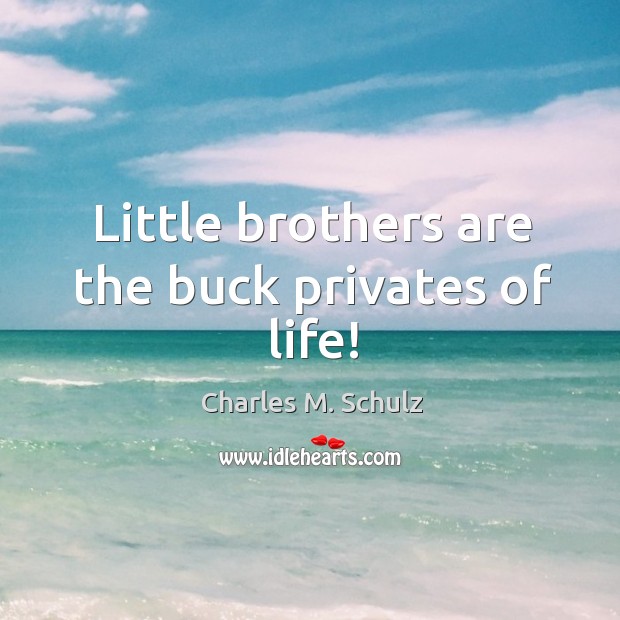Little brothers are the buck privates of life! Charles M. Schulz Picture Quote