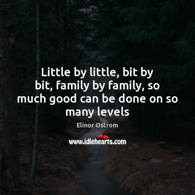 Little by little, bit by bit, family by family, so much good can be done on so many levels Elinor Ostrom Picture Quote