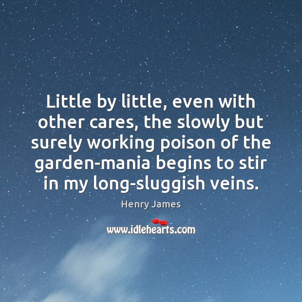 Little by little, even with other cares, the slowly but surely working Henry James Picture Quote