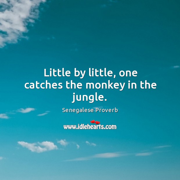 Little by little, one catches the monkey in the jungle. Senegalese Proverbs Image