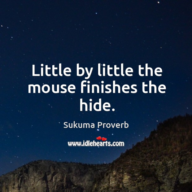 Little by little the mouse finishes the hide. Sukuma Proverbs Image
