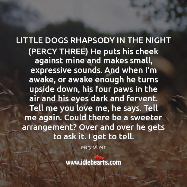 LITTLE DOGS RHAPSODY IN THE NIGHT (PERCY THREE) He puts his cheek Mary Oliver Picture Quote