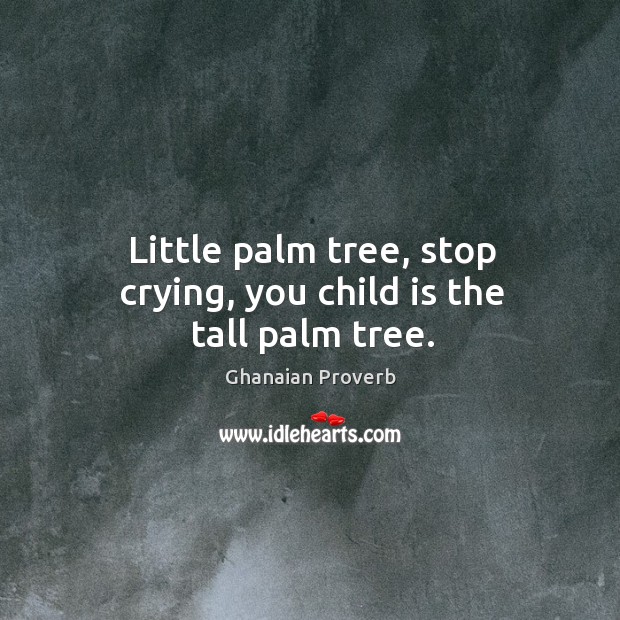 Little palm tree, stop crying, you child is the tall palm tree. Ghanaian Proverbs Image