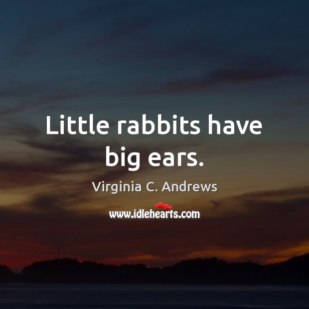 Little rabbits have big ears. Virginia C. Andrews Picture Quote
