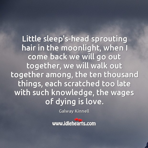 Little sleep’s-head sprouting hair in the moonlight, when I come back we Galway Kinnell Picture Quote