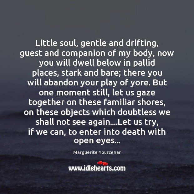 Little soul, gentle and drifting, guest and companion of my body, now Image