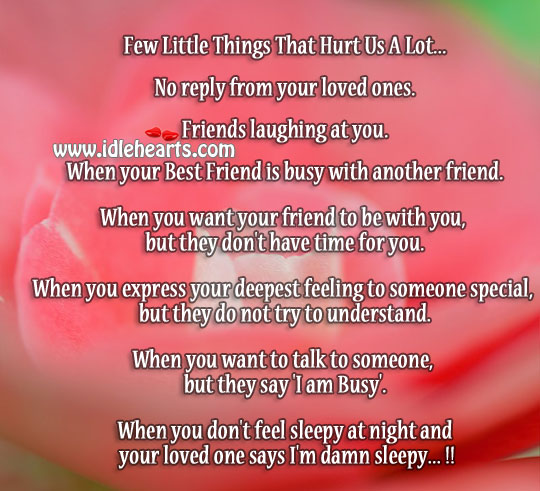 Sometimes little things hurts a lot Best Friend Quotes Image