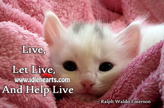 Live, let live, and help live Ralph Waldo Emerson Picture Quote