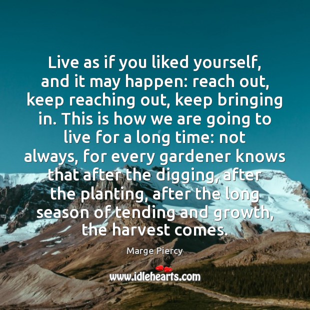 Live as if you liked yourself, and it may happen: reach out, Marge Piercy Picture Quote