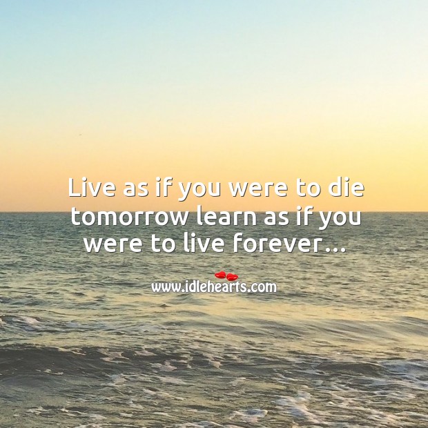 Live As If You Were To Die Tomorrow Learn As If You Were To Live Forever Idlehearts