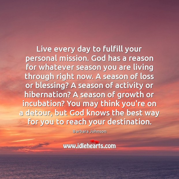 Live every day to fulfill your personal mission. God has a reason Barbara Johnson Picture Quote