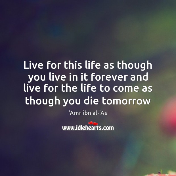 Live for this life as though you live in it forever and Amr ibn al-As Picture Quote