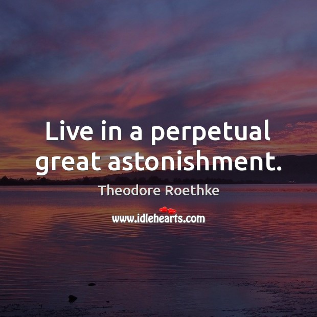 Live in a perpetual great astonishment. Image