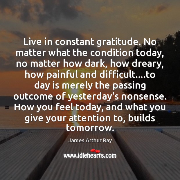 Live in constant gratitude. No matter what the condition today, no matter James Arthur Ray Picture Quote